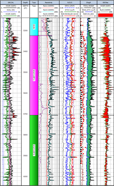 Petrophysical Interpretation Logs | TGS